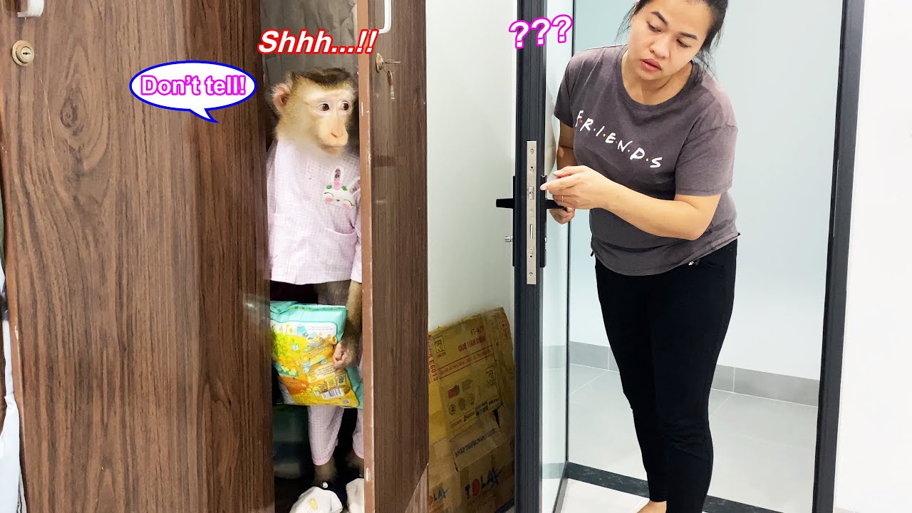 So mischievous! Lyly the monkey's snack-hiding skills made me laugh uncontrollably.