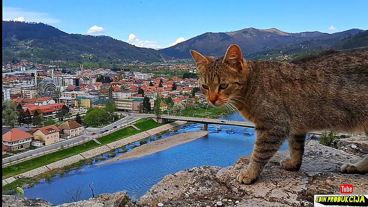 Grad Maglaj i Maglajska kula