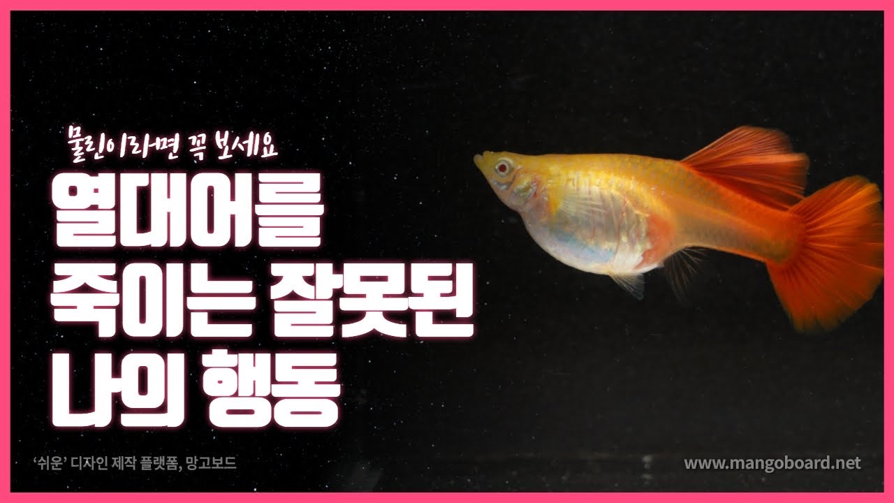 열대어를 죽이는 나의 행동/잘못된 나의 행동이 열대어를 죽인다