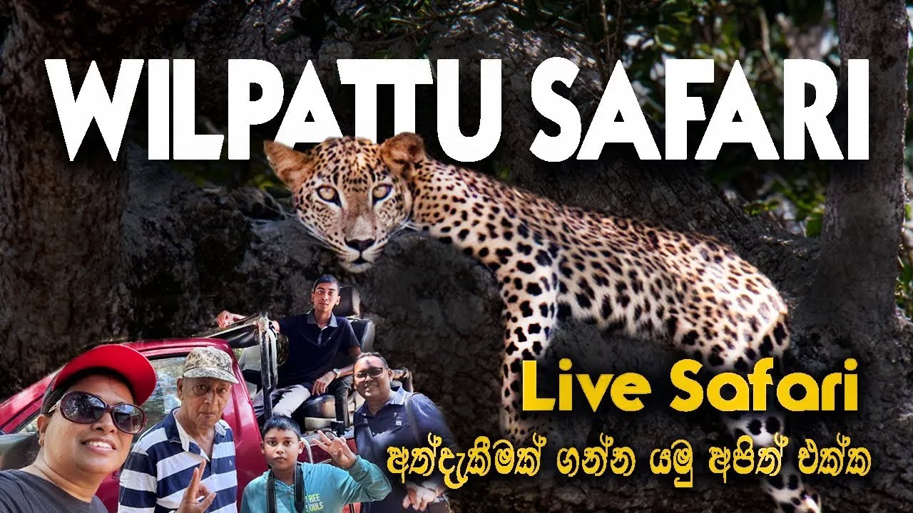 Wilpattu National Park Sri Lanka – Wildlife Safari & Travel Guide 🐆🇱🇰