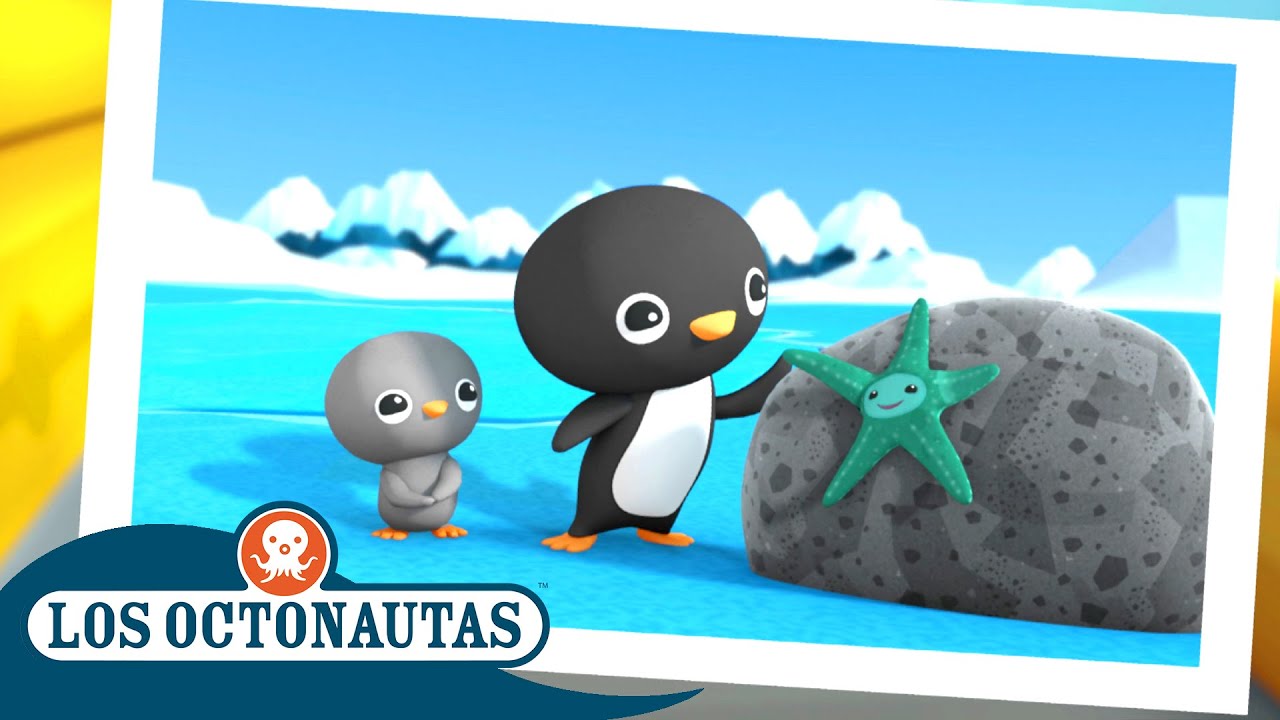 Los Octonautas - La gran aventura ártica | Episodios Completos