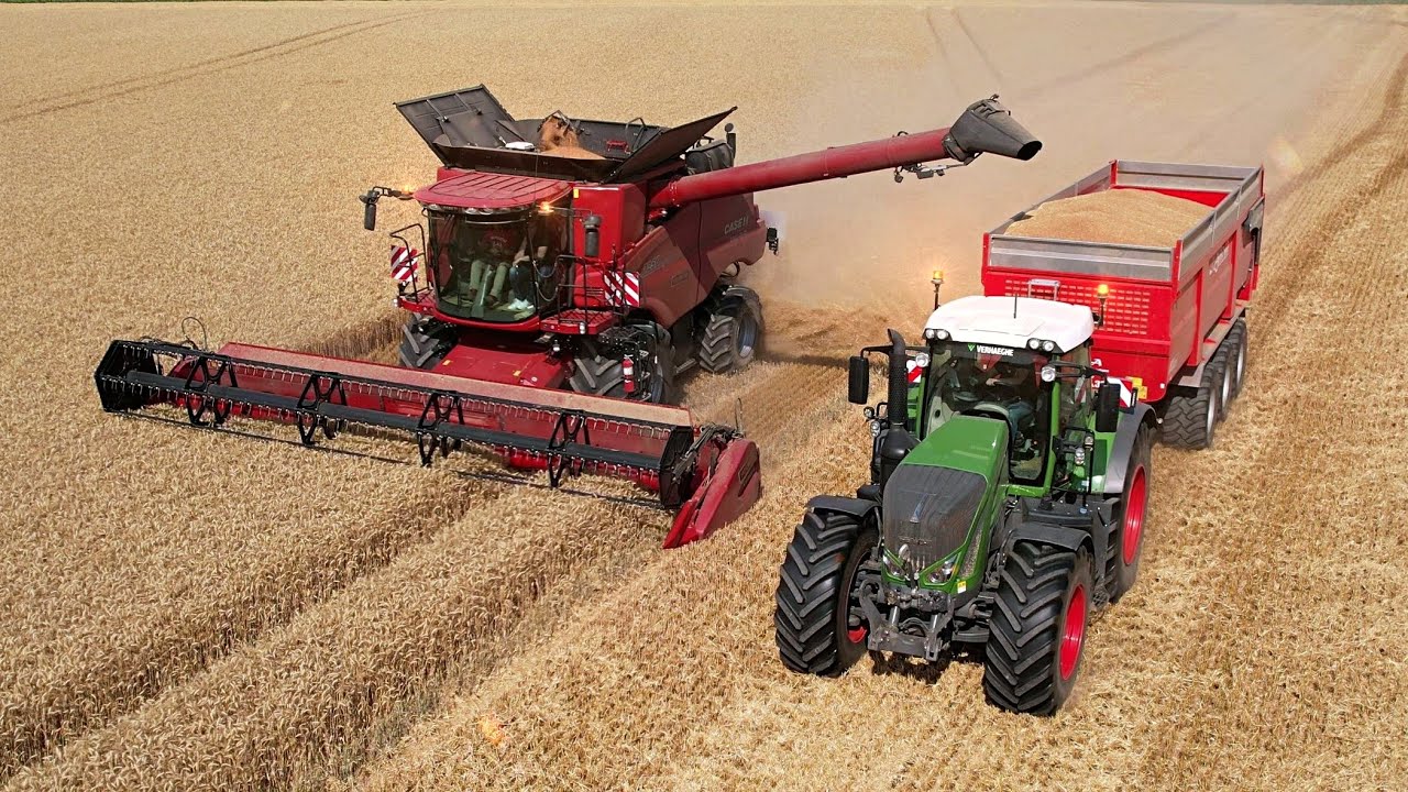 Moisson blé 2023 CASE Axial flow 7250 et Fendt 930