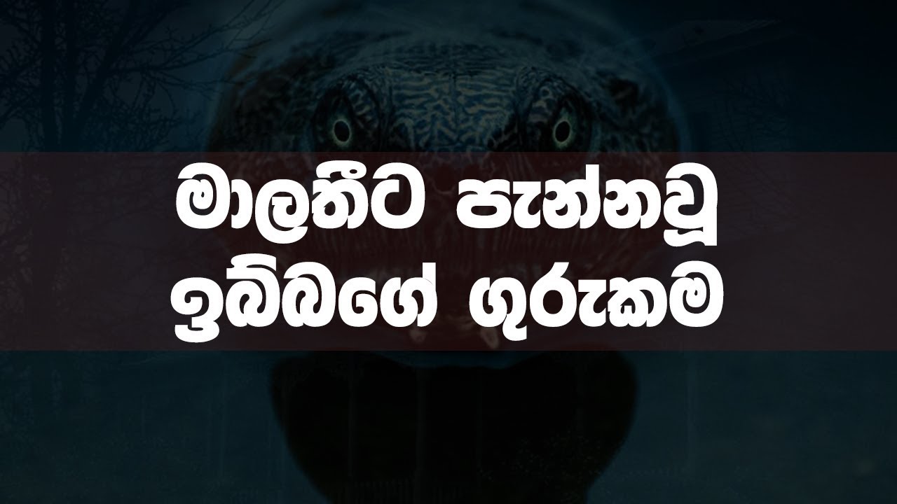 Kemmura Adaviya (කෙම්මුර අඩවිය) - මාලතීට පැන්නවූ ඉබ්බගේ ගුරුකම | Meepe Ganithage Chandra Bharathi