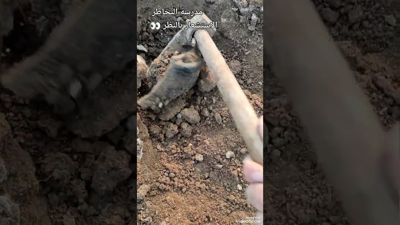 فيديو ميداني توثيقي لاهداف بسيطة اثباتية للإستشعار بالنظر فقط تحية لنخبة التخاطر فردا فردا ❤️❤️