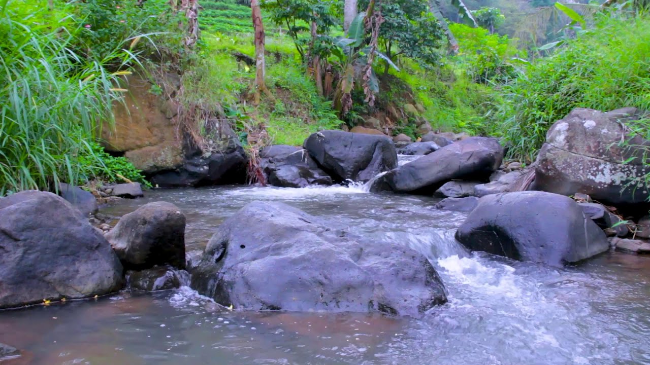 Mountain River Flowing Water Ambience | Deep Sleep Relaxation Nature Sounds
