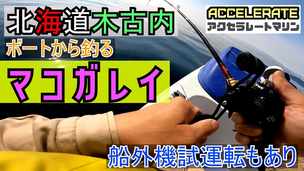 北海道木古内　ボートから釣るマコガレイ