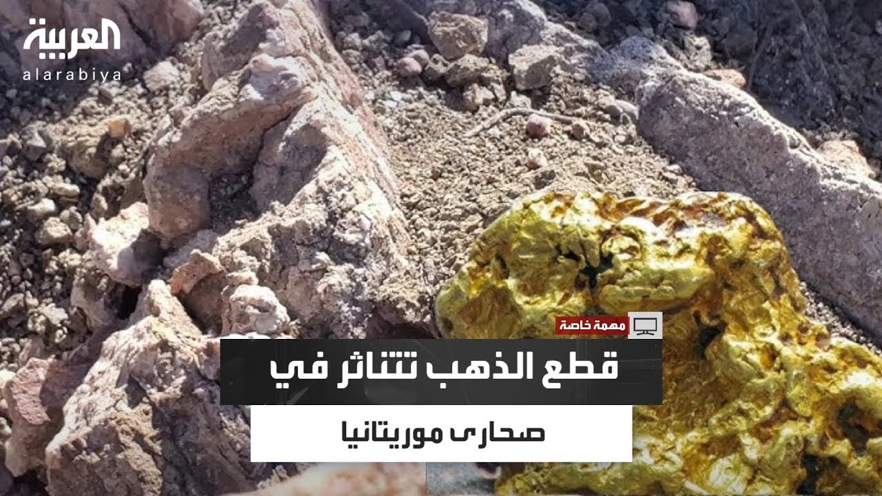 يعثر عليها المنقبون بدون عناء.. منقب موريتاني يلتقط قطع الذهب من صحارى أرض الشمال الغربي الموريتاني
