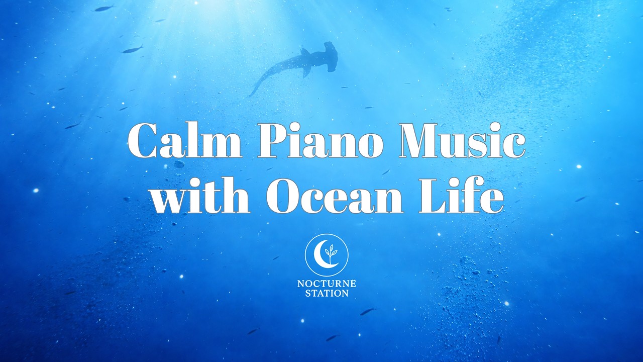 Calm Piano Music with Ocean Life - Deep Relaxation & Peaceful Sleep | Nocturne Station
