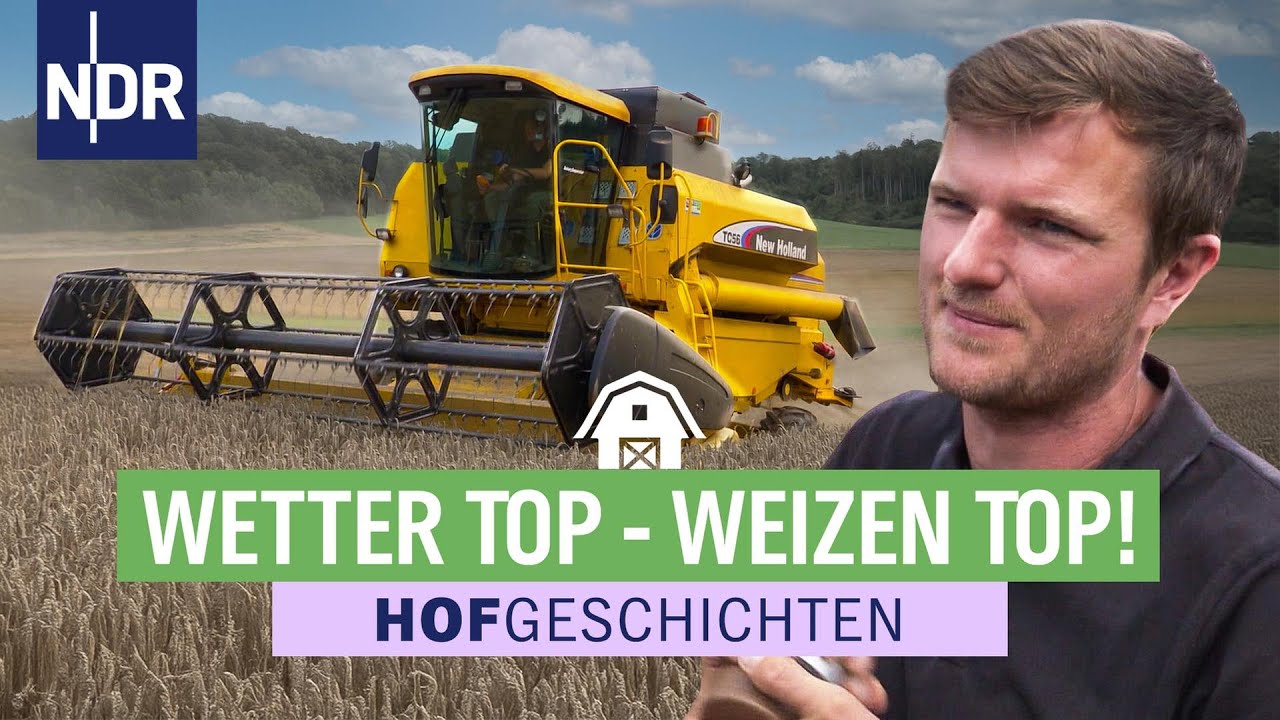 Geiles Wetter - leckerer Weizen! | Hofgeschichten: Leben auf'm Land (345) | NDR