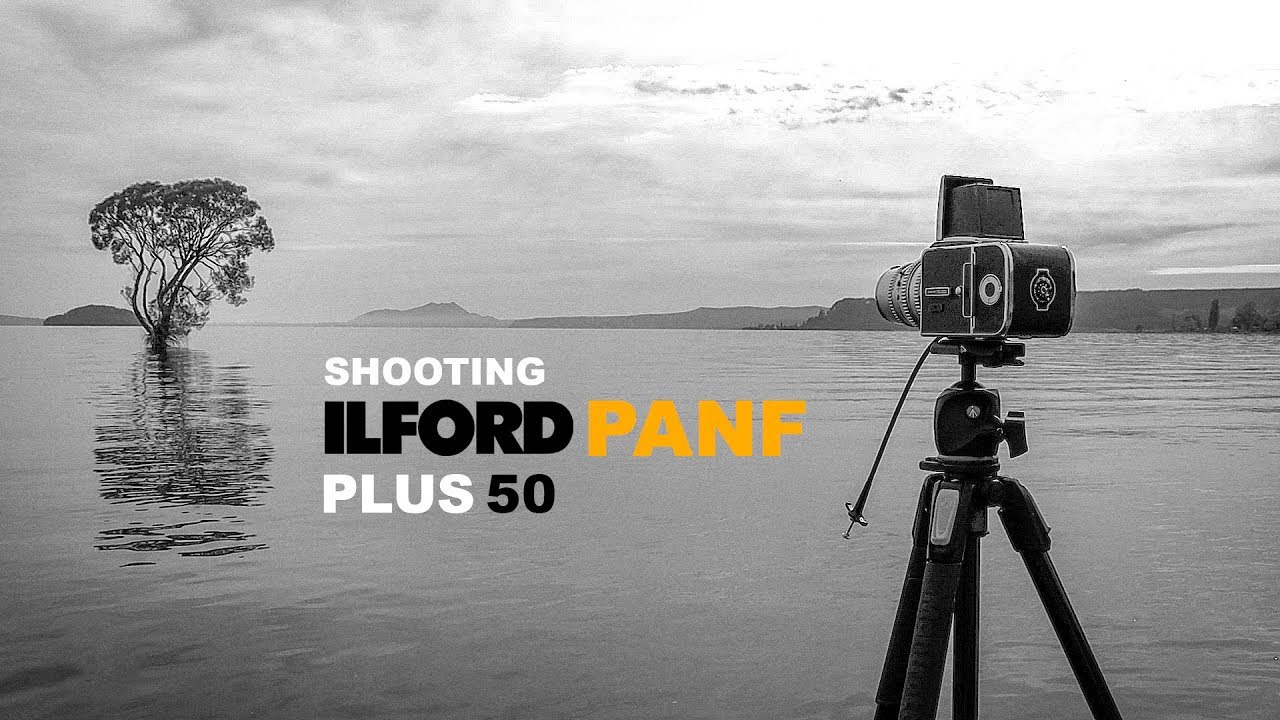 Ilford Pan F Plus | Hasselblad 500C/M