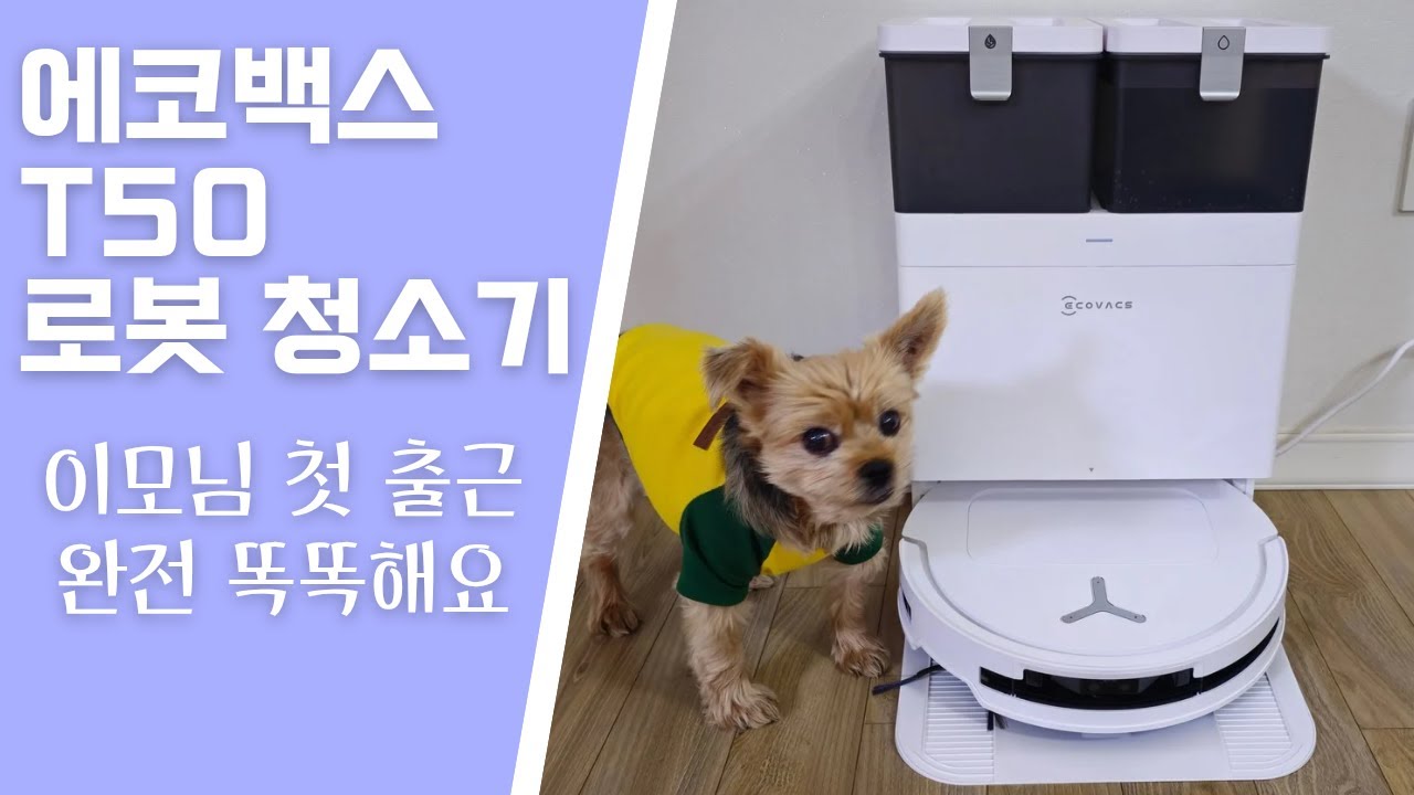 로보락 이모님 보내드리고 에코백스 T50 이모님 모셨습니다 🤖 | 청소력·물걸레 비교 브이로그