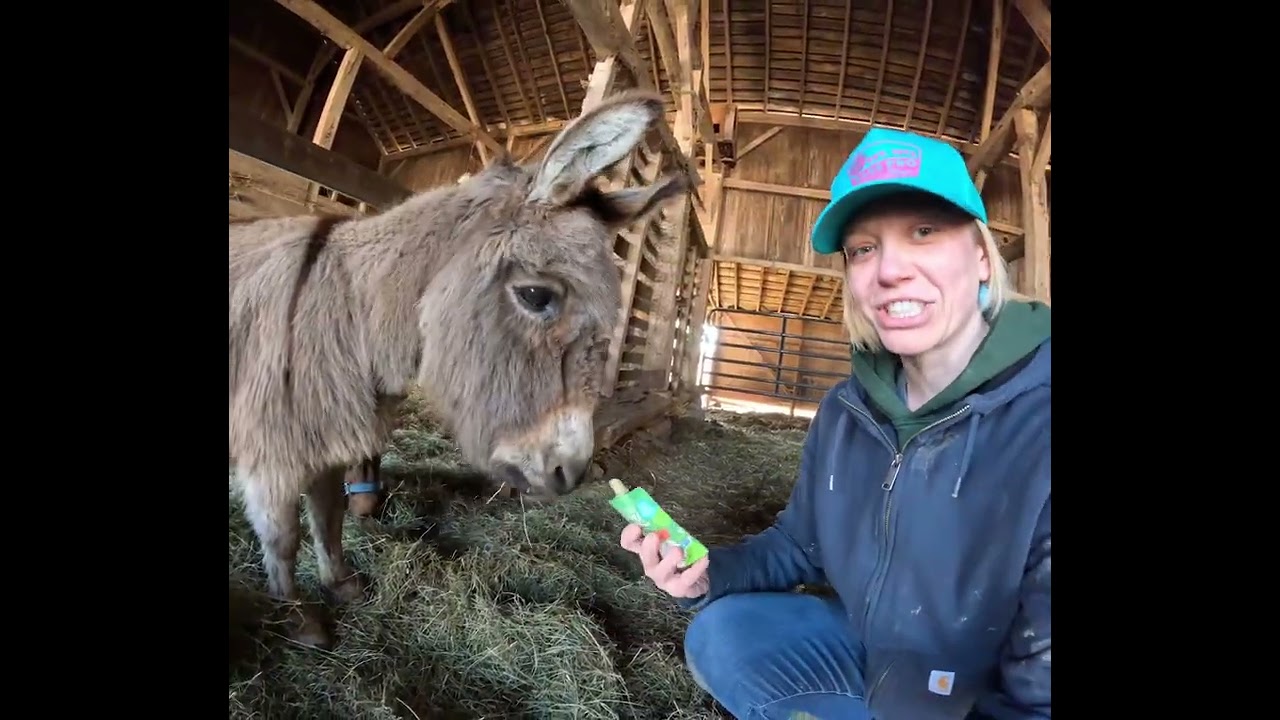 who will try different foods?