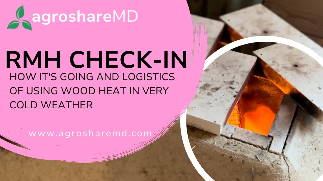 Rocket Mass Heater Check-In: How It's Going and Logistics of Using Wood Heat in Very COLD Weather