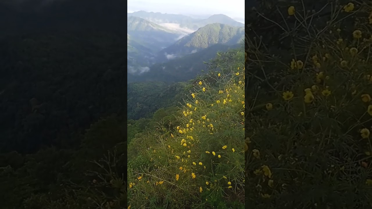 𝘏𝘭𝘢𝘸𝘬𝘯𝘢 𝘱𝘢𝘬𝘩𝘢𝘵 𝘵𝘢𝘭 𝘪𝘭𝘰 𝘤𝘩𝘩𝘢𝘳 𝘷𝘦 𝘵𝘢𝘬𝘪𝘯