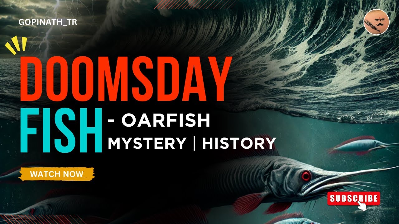 Oarfish &ndash; Doomsday Fish 🐠 Mystery | History + News | Tamil