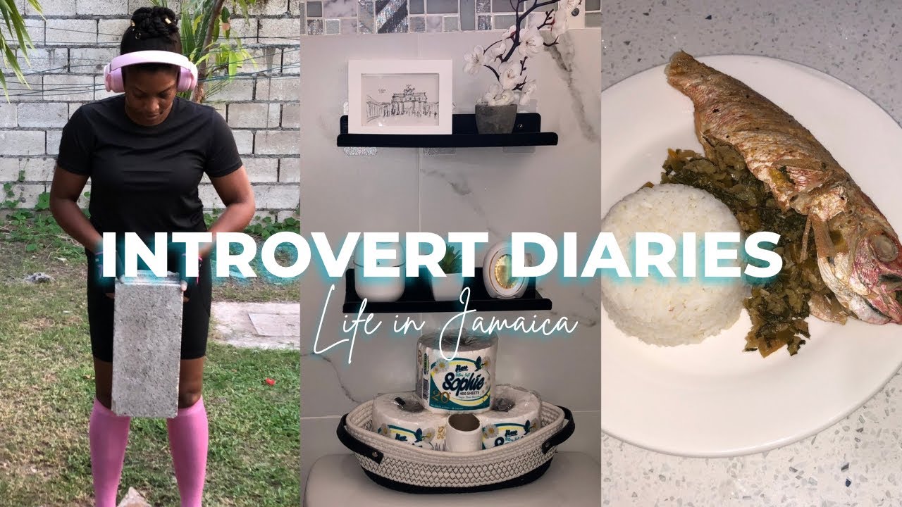 INTROVERT Diaries | This Is What Most of My Days Look Like | WEEK 9