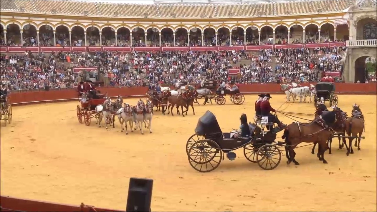 Séville, la féria 2017 : Les Attelages dans les arènes 3/4