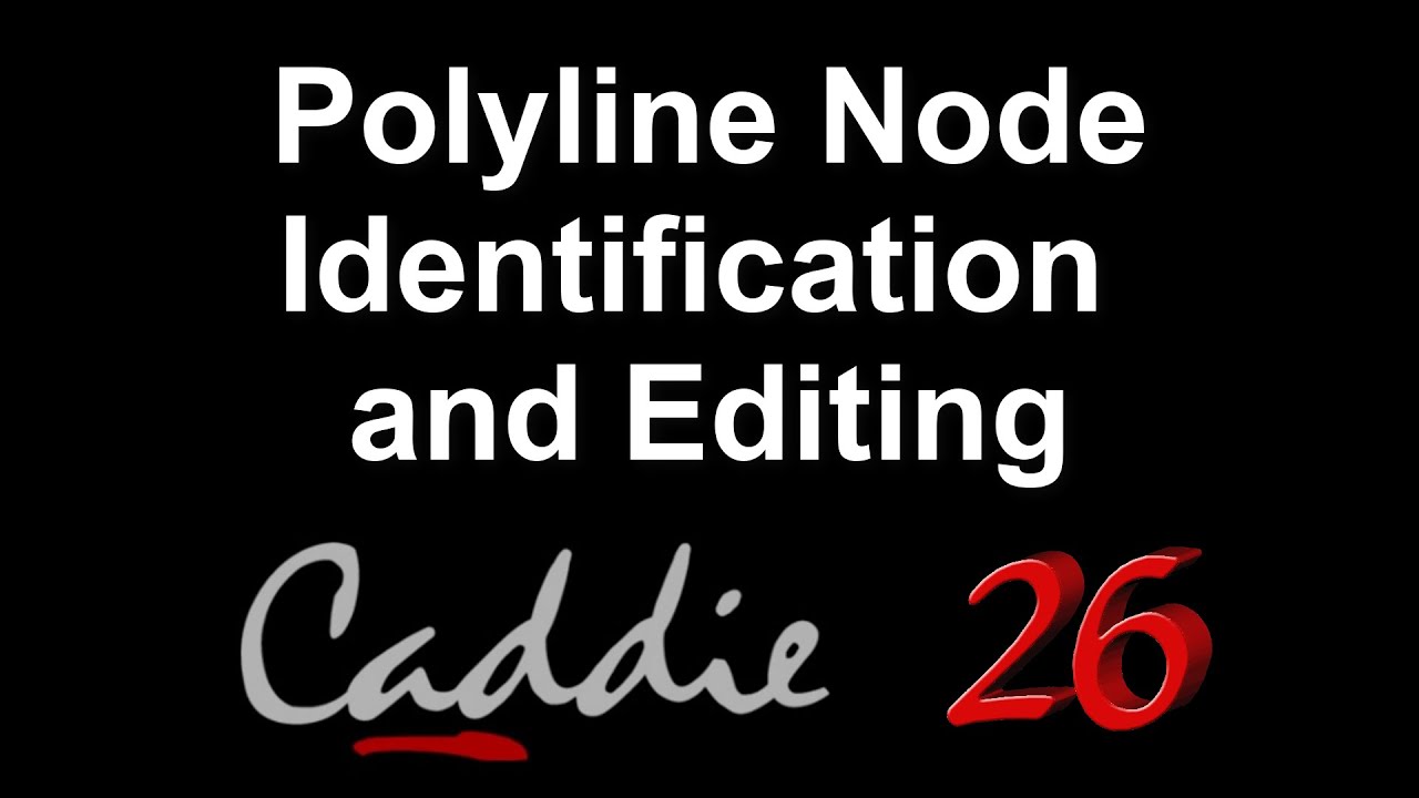 Polyline Node Identification and Editing