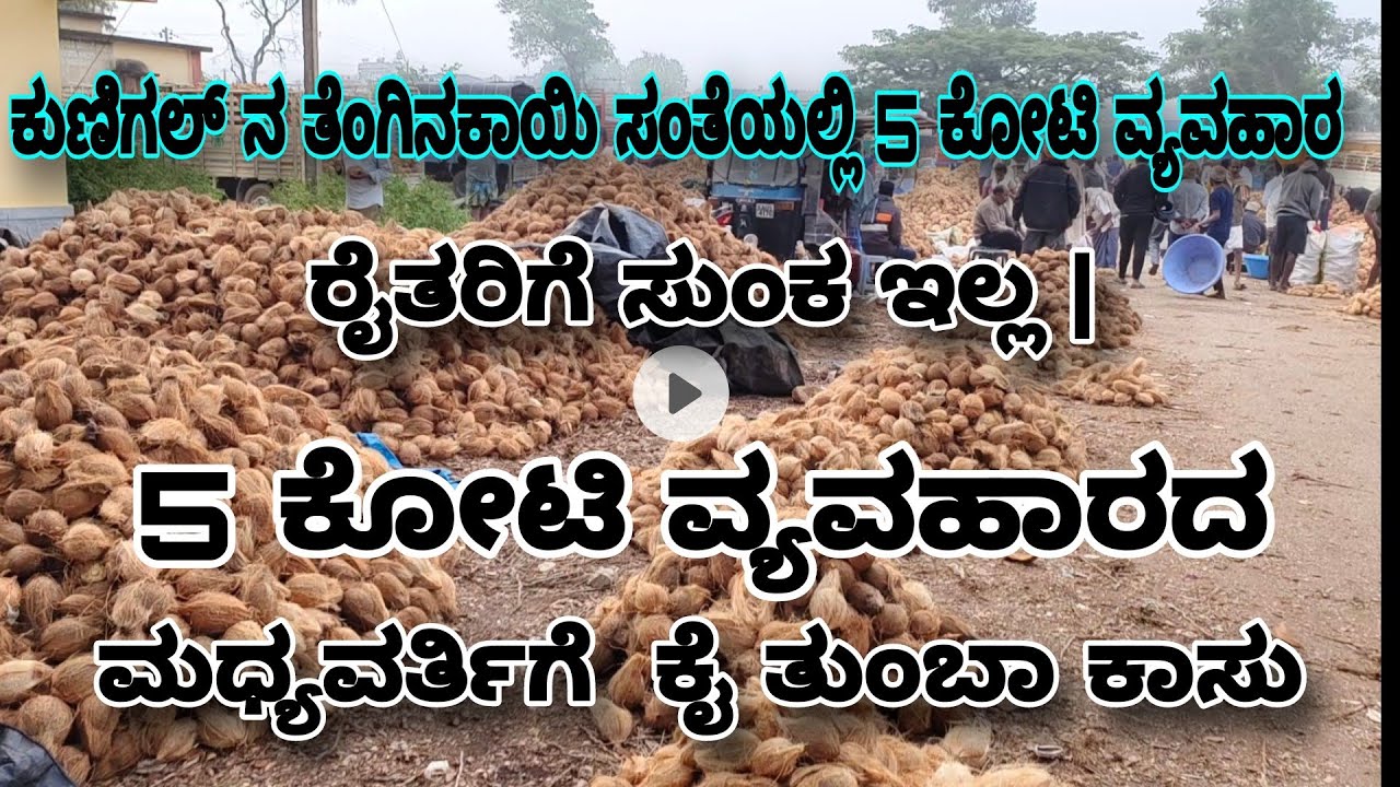 ತೆಂಗಿನಕಾಯಿ ಸಂತೆಯಲ್ಲಿ 5 ಕೋಟಿ ವ್ಯವಹಾರ | ರೈತರಿಗೆ ಸುಂಕ ಇಲ್ಲ | ಮಧ್ಯವರ್ತಿಗೆ  ಕೈ ತುಂಬಾ ಕಾಸು|