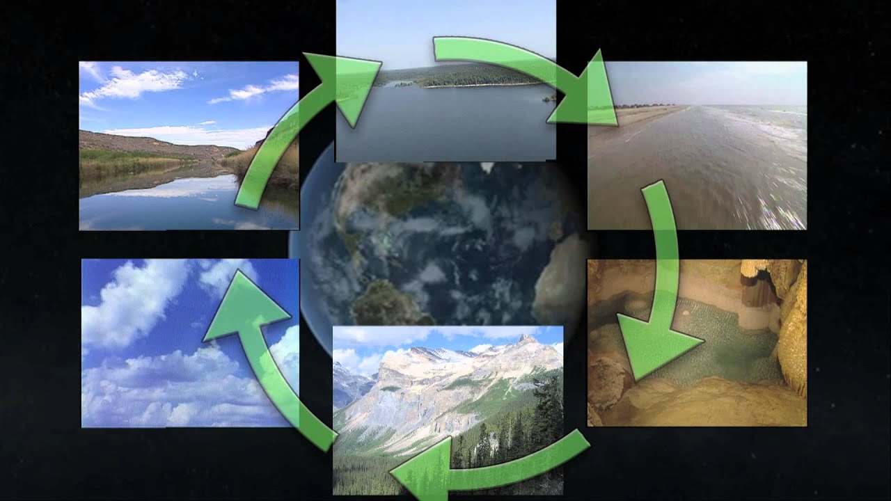 The Ultimate Recyclable: Texas Aquatic Science- Chapter 2