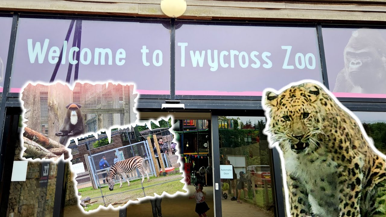 Twycross Zoo Vlog 29th May