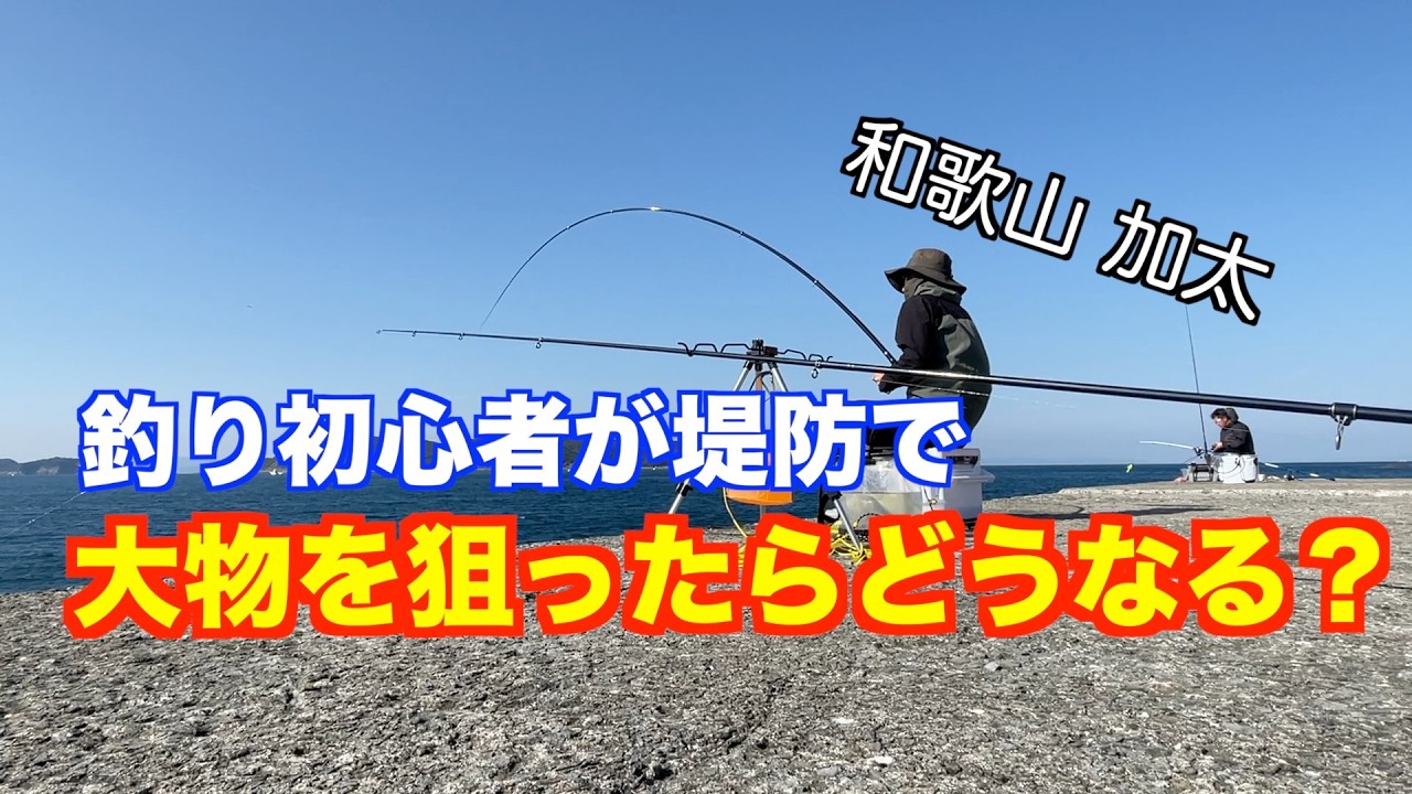 釣り初心者が堤防で大物を狙ったらどうなる？