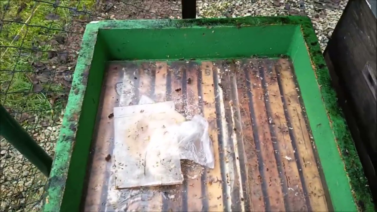 Zachraňovaný oddělek včel, stále ho přikrmuji medem ale i přidávám záložní zásobní rámky.