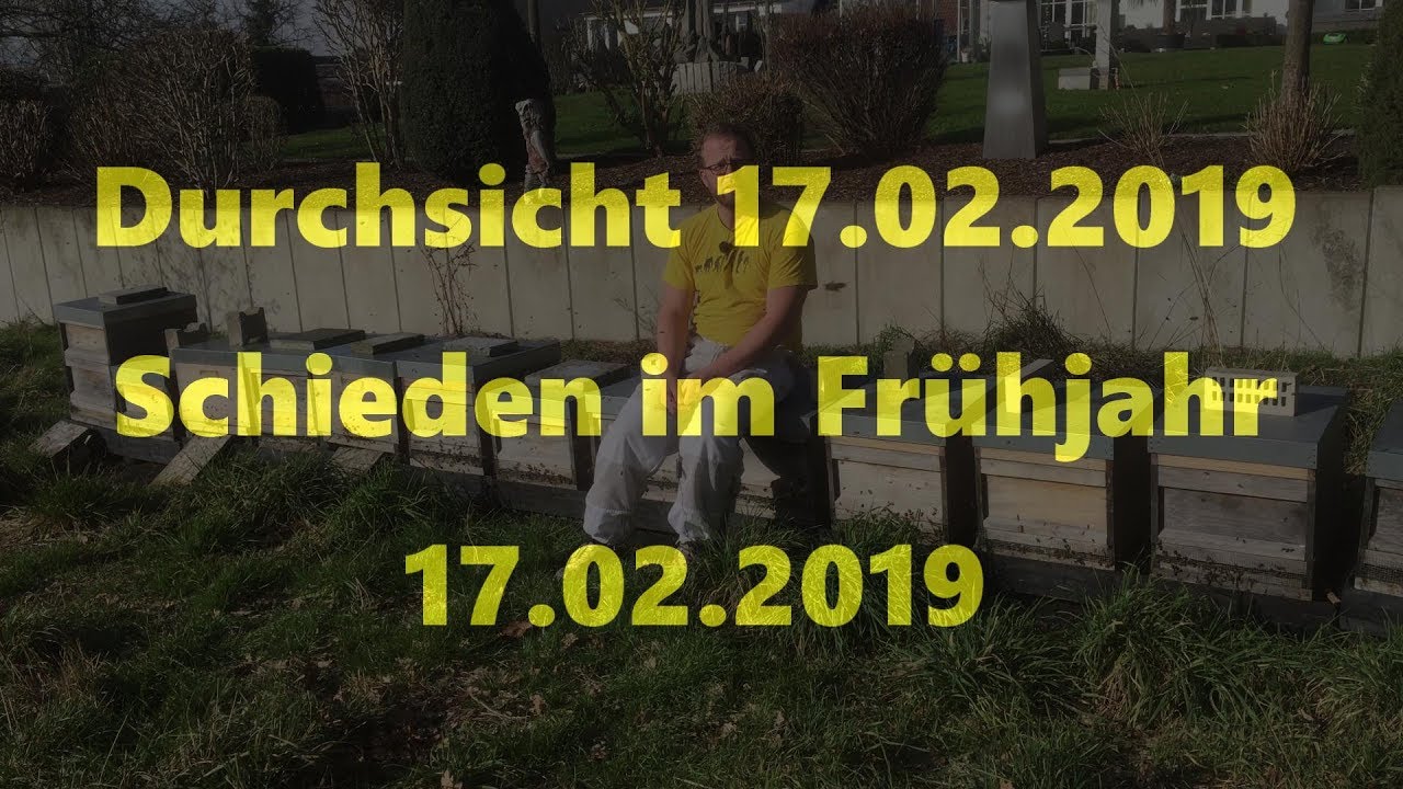 Durchsicht 17.02.2019 Schieden im Frühjahr *4K*