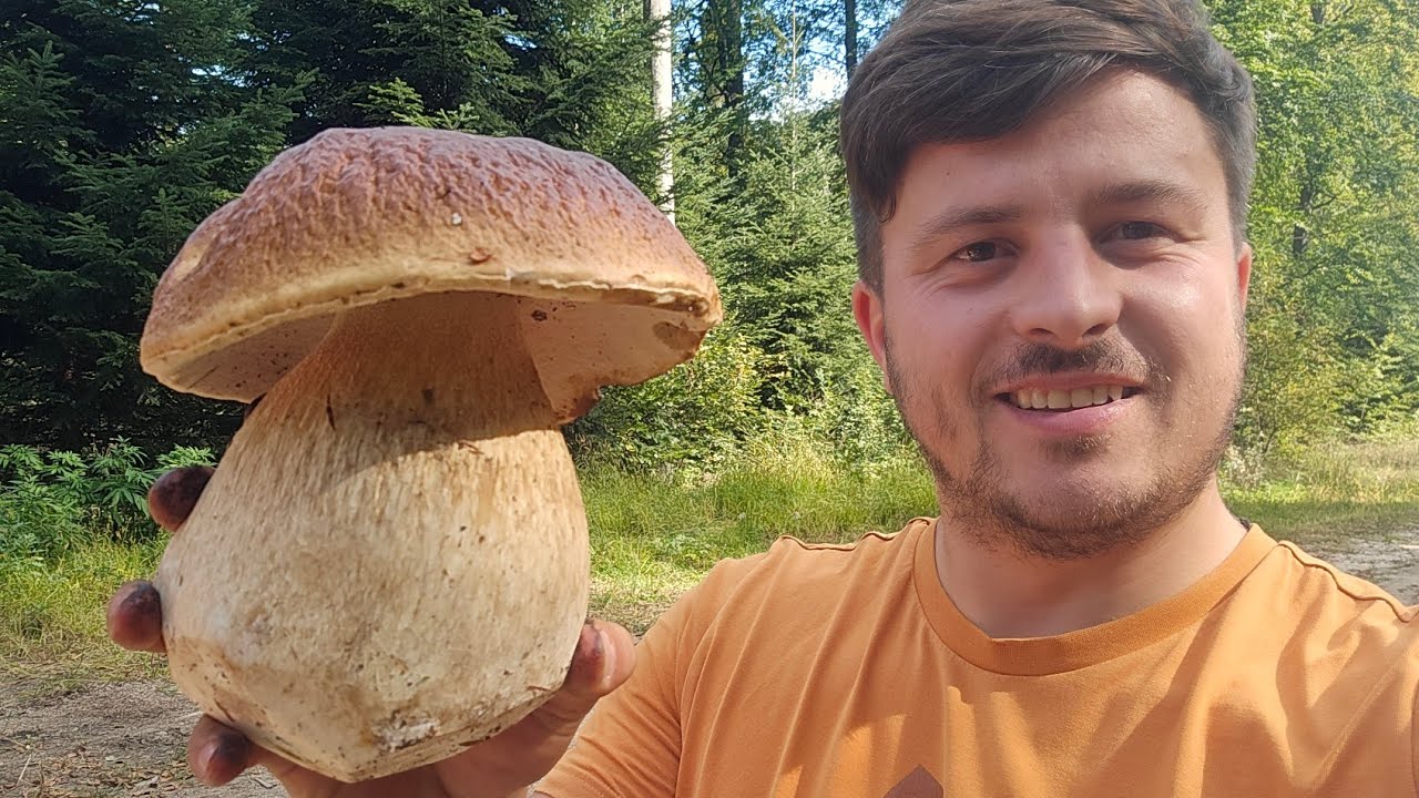 FUNGHI PORCINI | Il massimo del mondo!