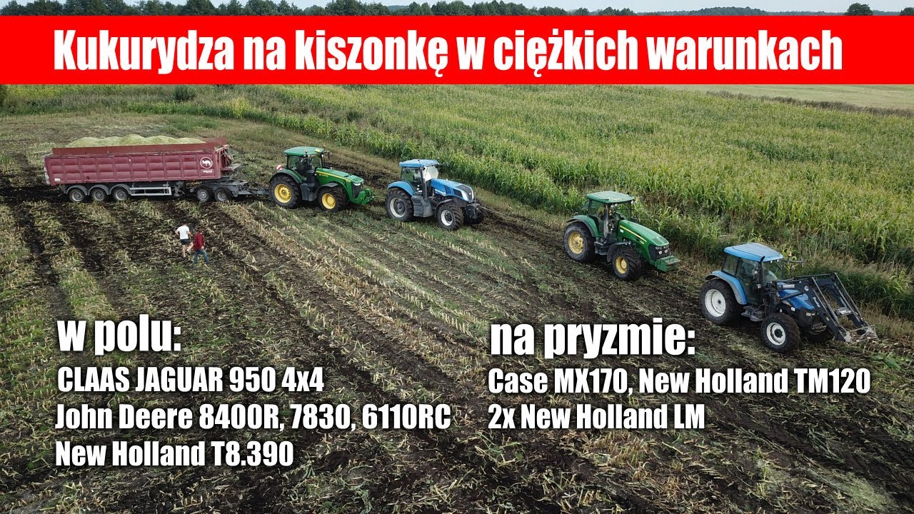 Kukurydza na kiszonkę w ciężkich warunkach - Jaguar 950, JD 8400R, 7830, 6110RC, NH T8.390, TM120...