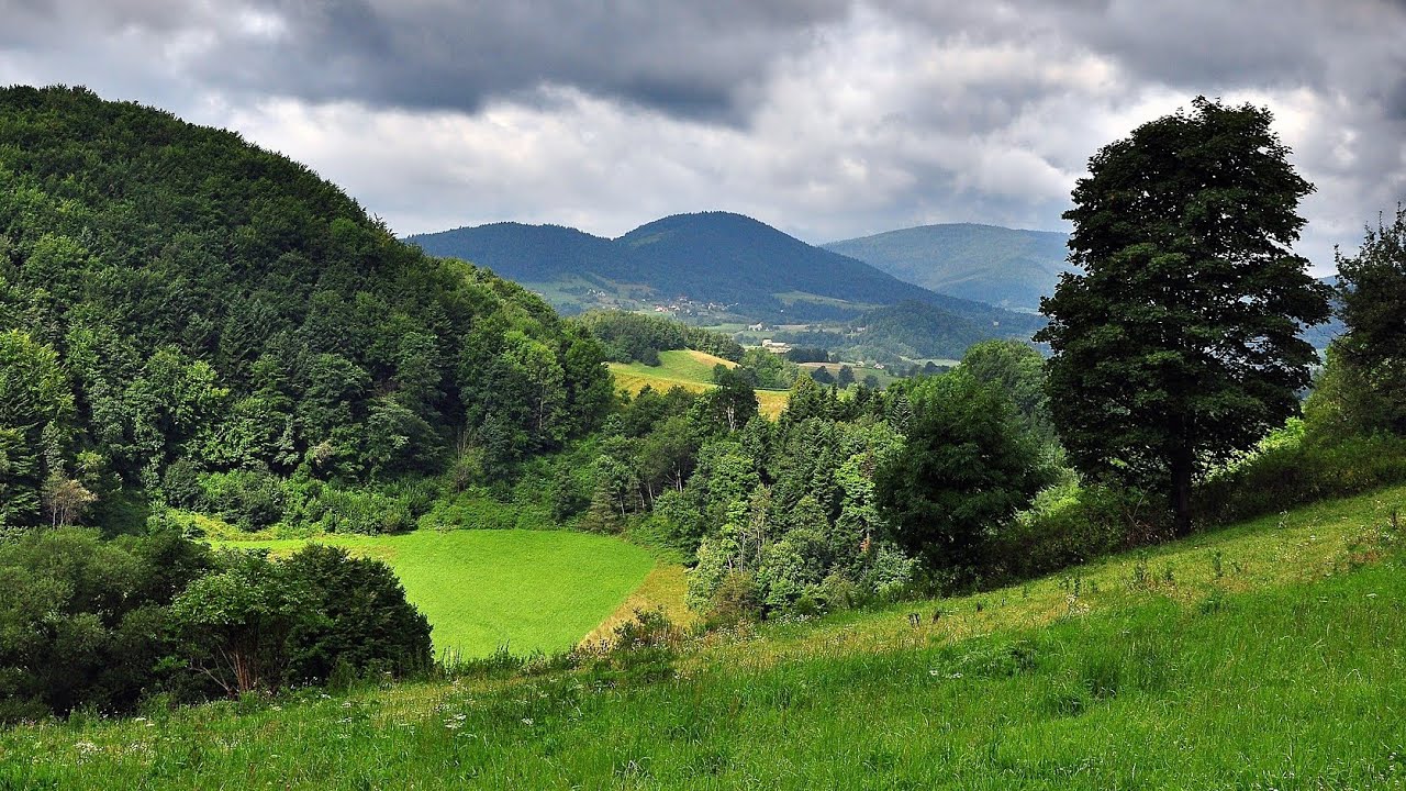 In 't Groene Dal, in 't Stille Dal