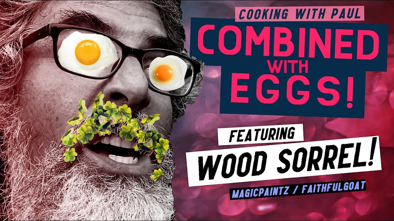 Combined with Eggs! #3 Wood Sorrel! #cooking #cookingshow #comedy