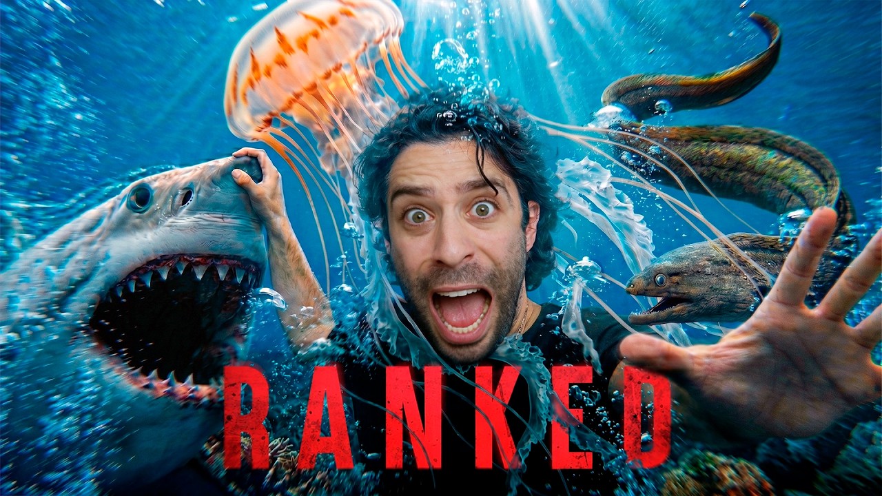 The Deadliest Ocean Predators (Tier List)