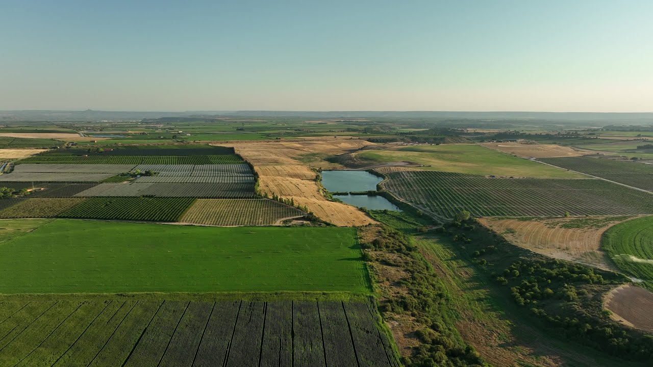 OBRA AGRÍCOLA - Anivellament i perfilat de terrenys per Finca LaNoguera | VOLTES Terres
