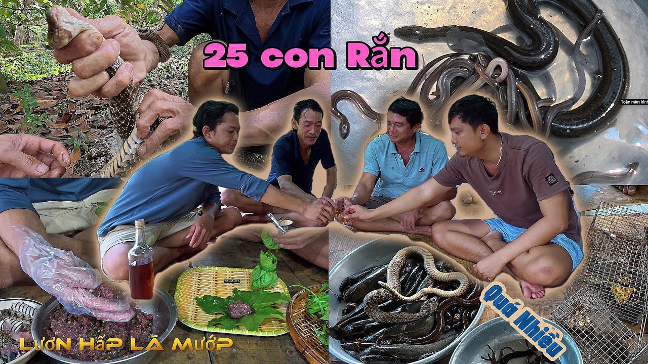 Quá nhiều 