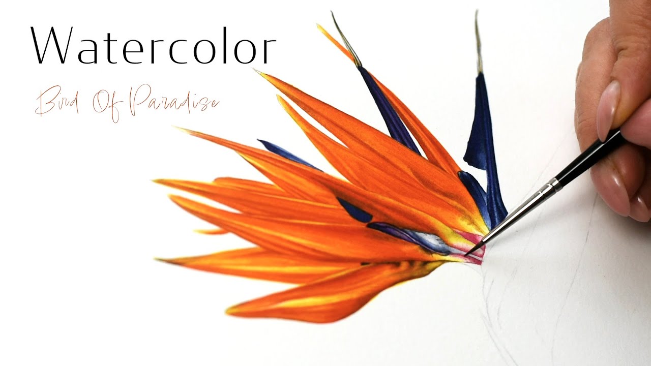 How to paint a Bird Of Paradise (Strelitzia) Part 1 | Watercolour painting tutorial