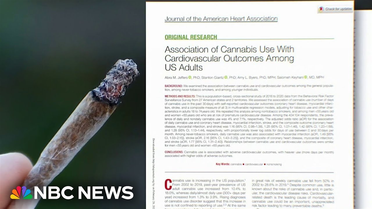 Study links cannabis use to heart problems