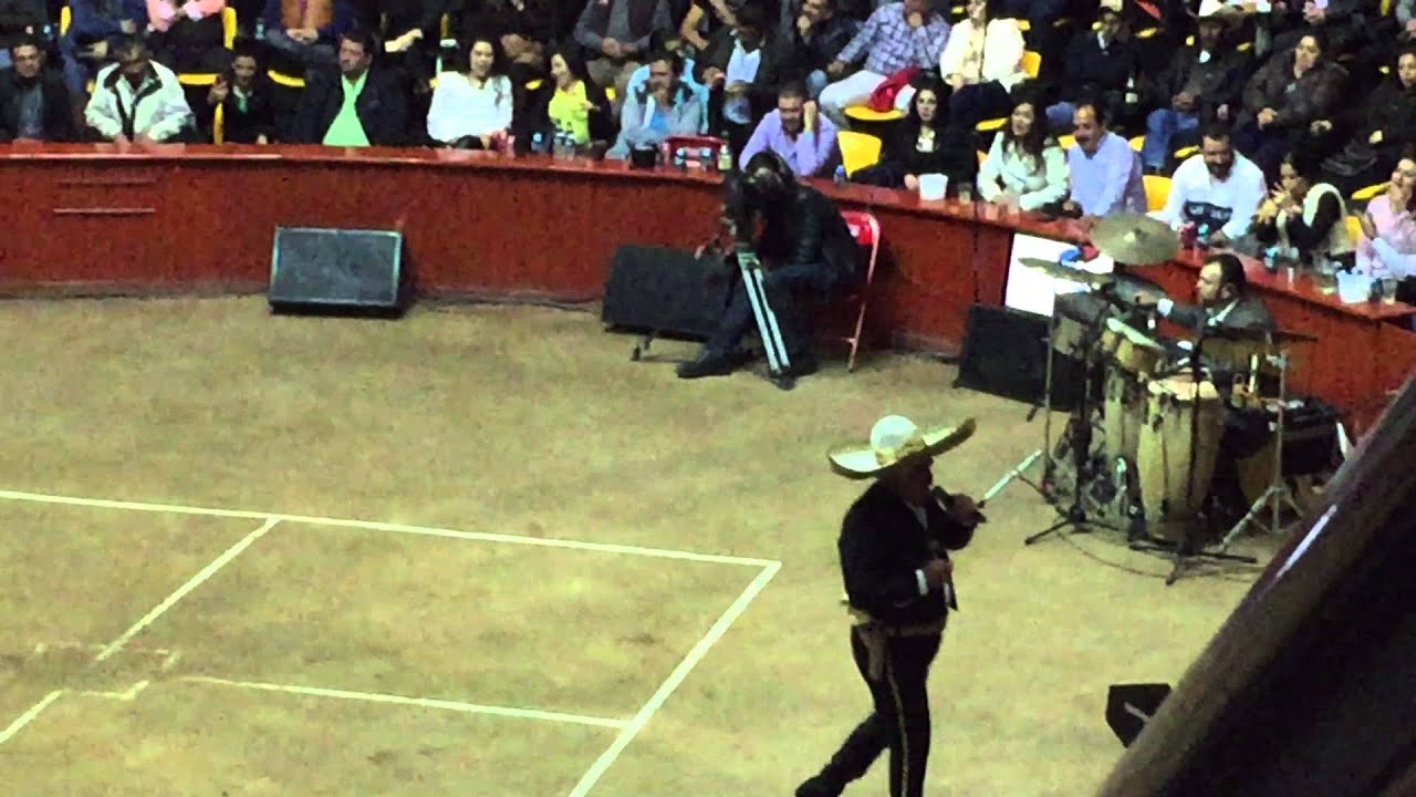 Vicente Fernandez - Caminos de Guanajuato