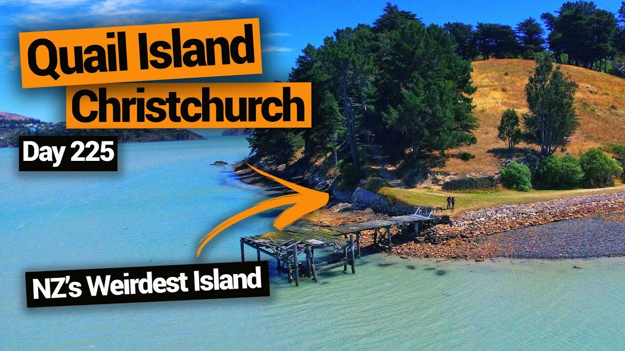 🗺️ Quail Island in Christchurch: New Zealand’s WEIRDEST Island – New Zealand's Biggest Gap Year