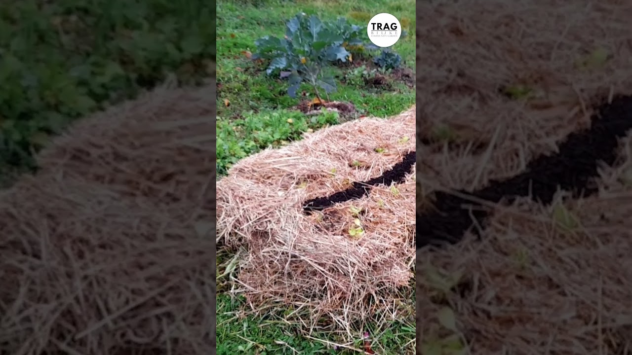 Tajna Perma Modela: Nezavisnost U Svim Uslovima?