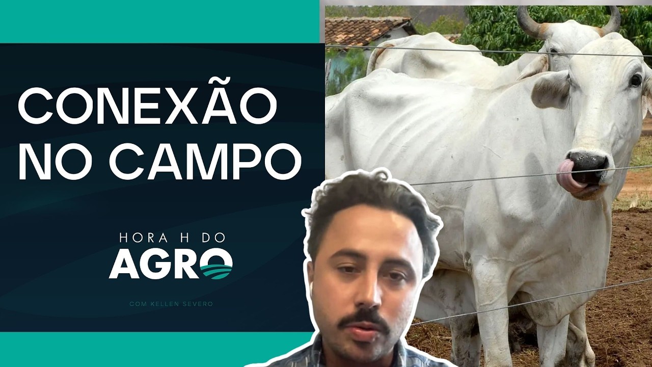 Internet no campo: iBOI cria rede pr&oacute;pria para garantir rastreabilidade no MS