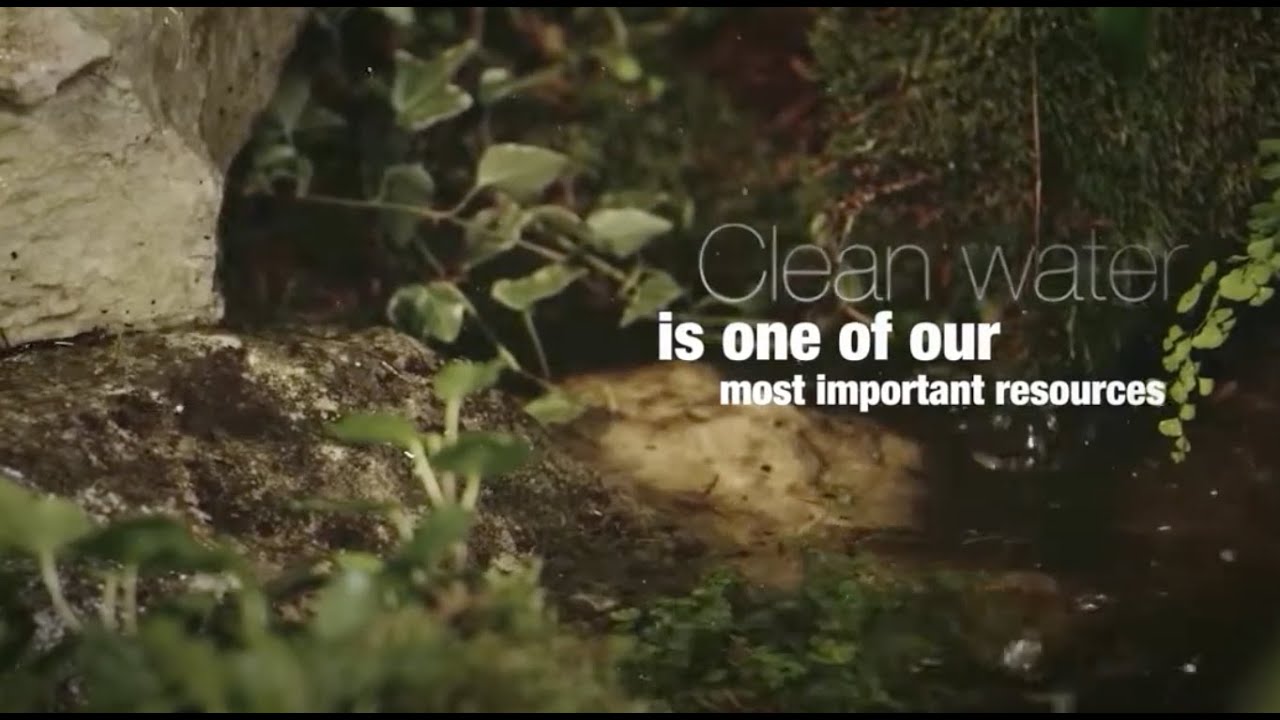Forests and Water