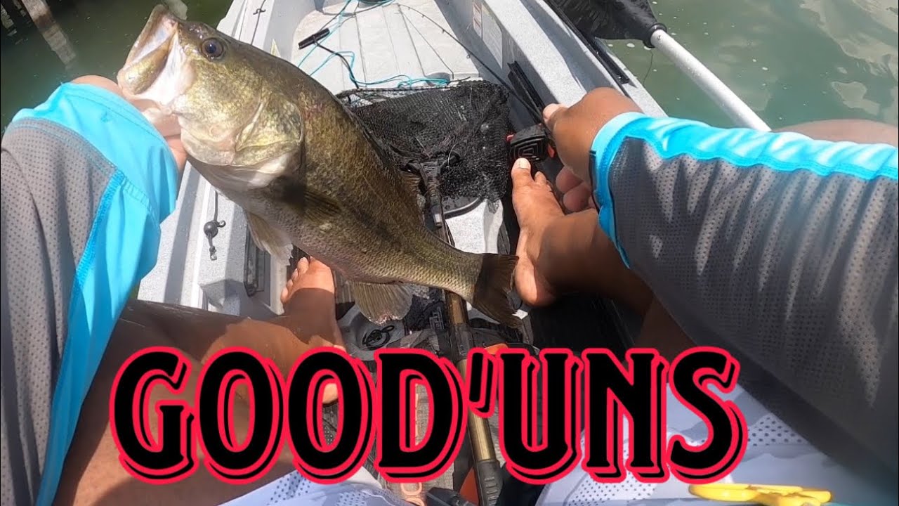Good’uns in the Kayak WHITE LAKE NC