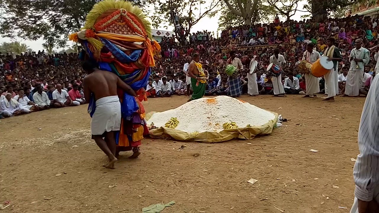 Jajur jathra  2017(10)