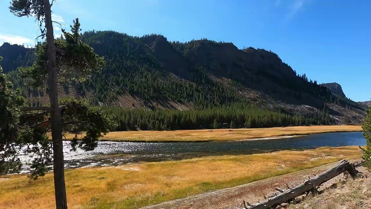 28 Madison River Walk, Yellowstone National Park, Sept 26, 2025