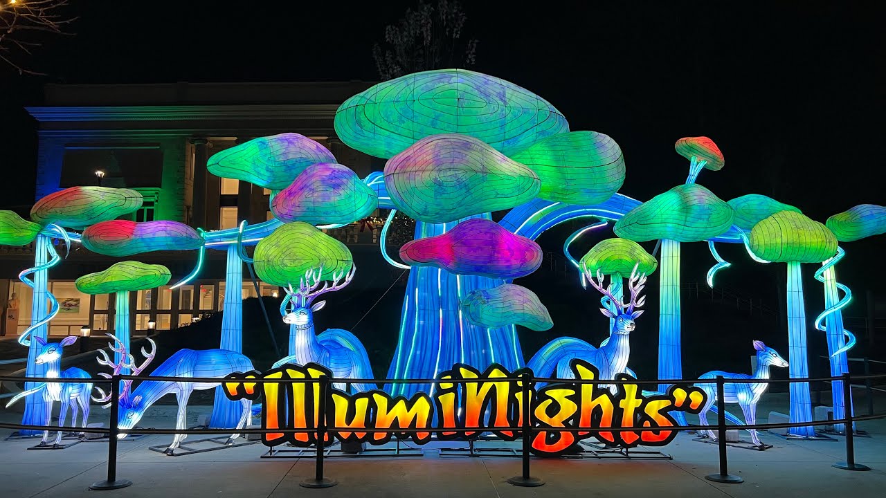 Zoo Atlanta~IllumiNights at the Zoo 2025