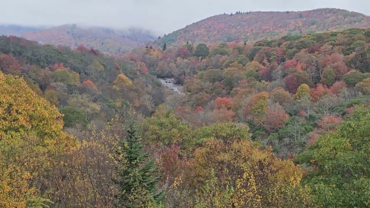 Graveyard Fields Fall Views