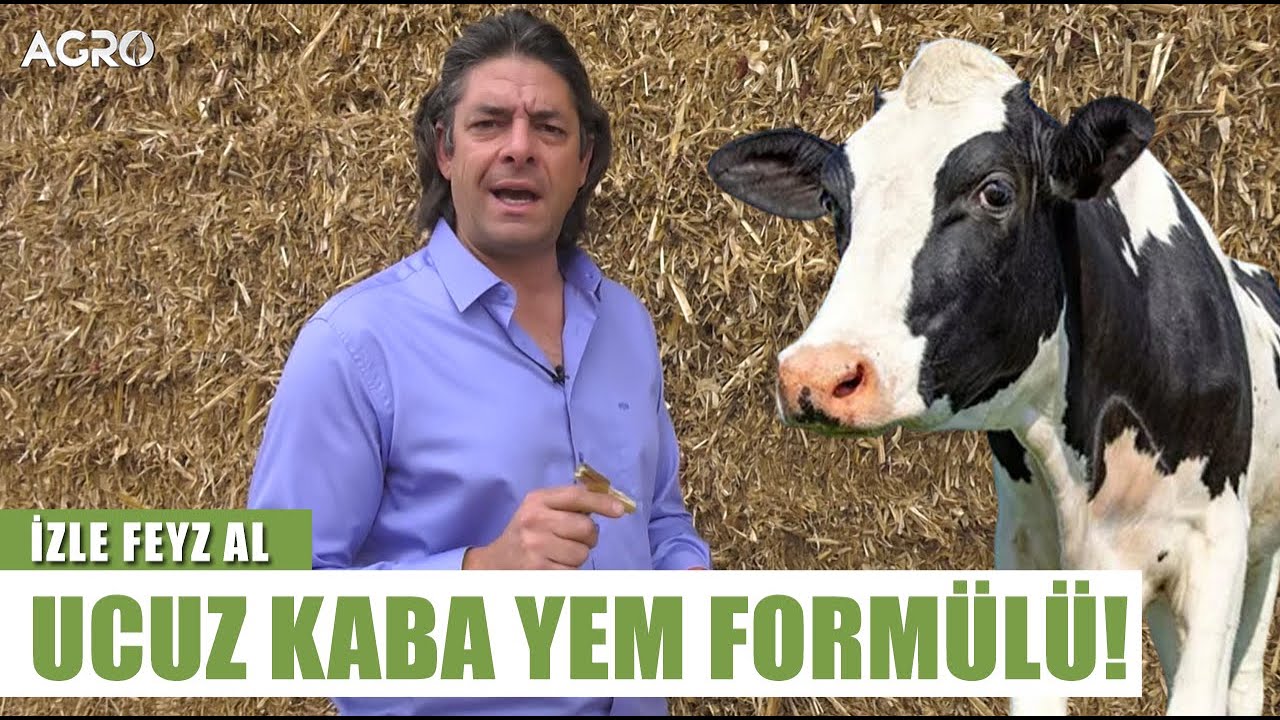 S&uuml;t &Ccedil;iftliğinde Ucuz Kaba Yemin Form&uuml;l&uuml;! Sencer Solakoğlu İzle Feyz Al - Arşiv