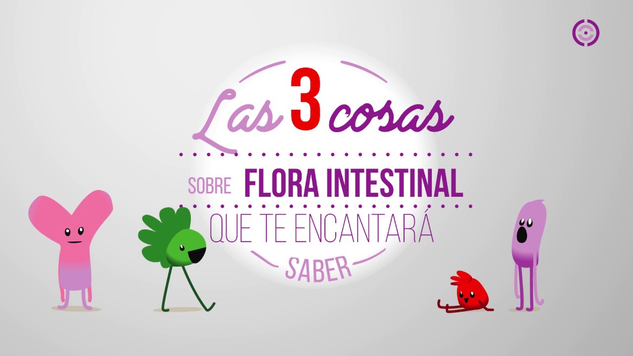 &iquest;C&oacute;mo regenerar tu Flora Intestinal?