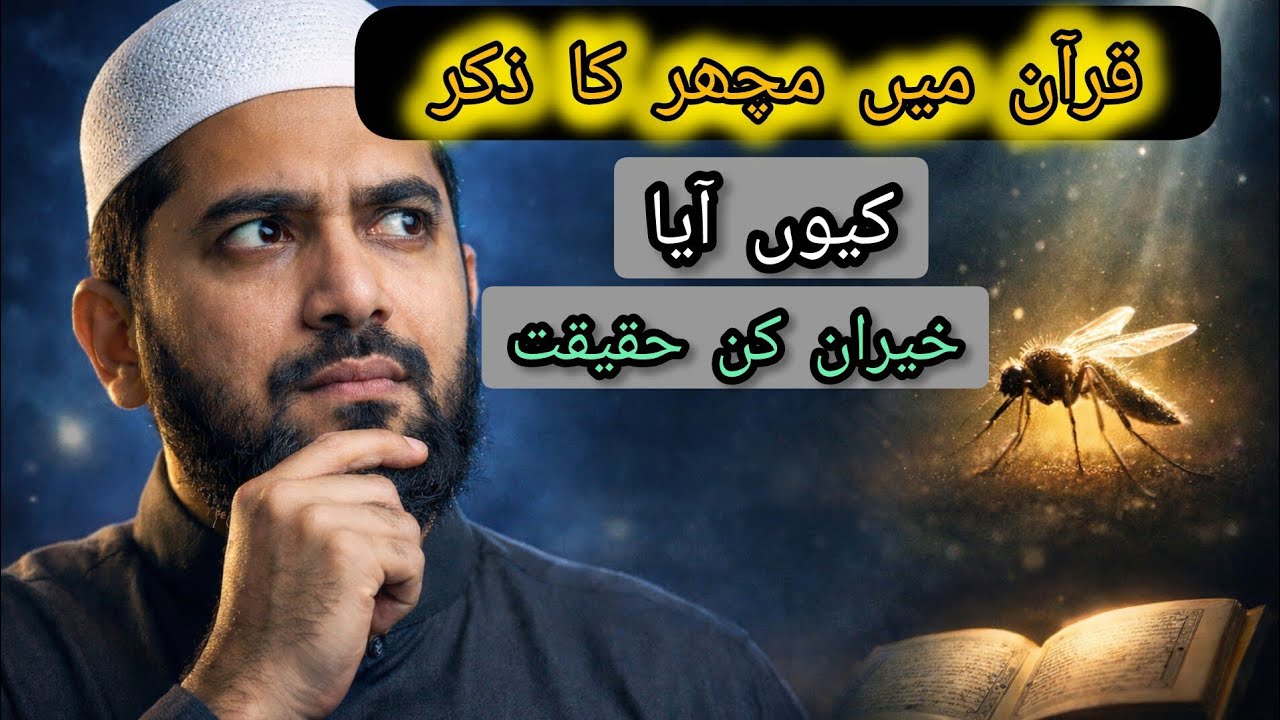 Quran Mein Machhar Ka Zikr | Hairat Angaiz Haqeeqat Jo Aapko Hairan Kar De!